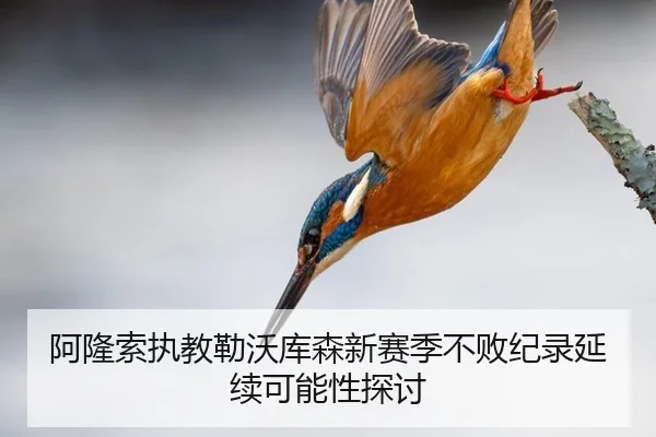 阿隆索执教勒沃库森新赛季不败纪录延续可能性探讨