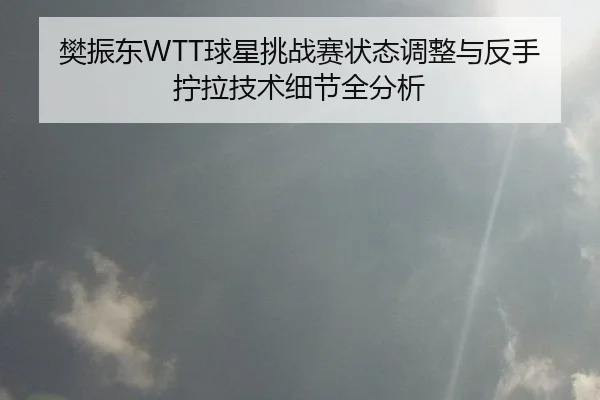 樊振东WTT球星挑战赛状态调整与反手拧拉技术细节全分析