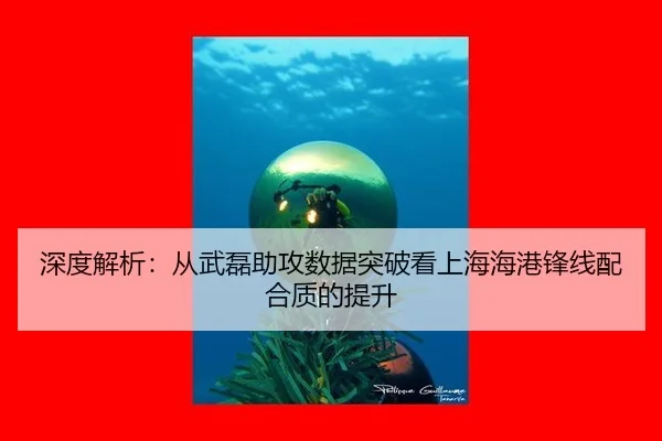 shen-du-jie-xi-cong-wu-lei-zhu-gong-shu-ju-tu-po-kan-shang-hai-hai-gang-feng-xian-pei-he-zhi-di-ti-sheng-2-307.jpg